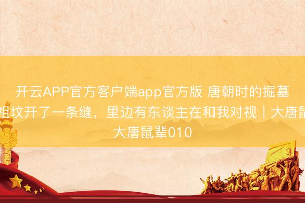 开云APP官方客户端app官方版 唐朝时的掘墓除妖：祖坟开了一条缝，里边有东谈主在和我对视｜大唐鼠辈010